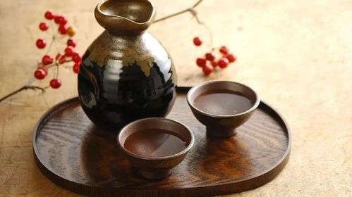 醬酒 醞釀于時光的成熟人生哲學(xué)